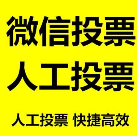 湖南省微信刷票怎么投票