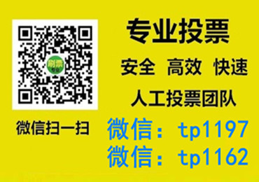 湖南省微信手动投票费多少钱让我告诉你微信投了多少